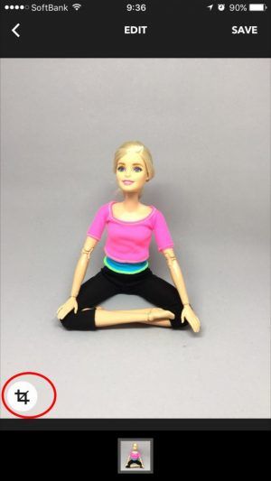 トリミングボタン