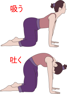 キャットアンドカウ