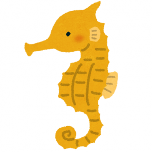 タツノオトシゴ