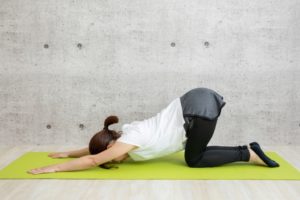 猫の背伸びのポーズ