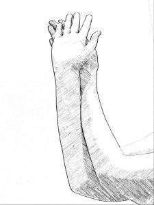 手の甲を合わせた手