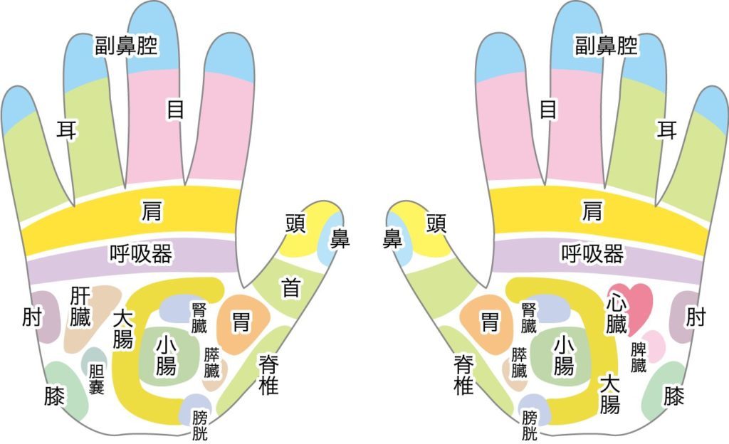 手の反射区
