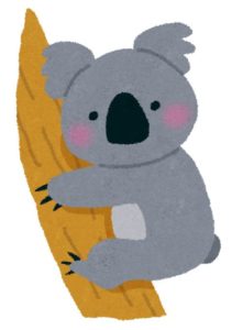コアラ